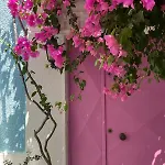 Casa Magnolia Boutique Rooms