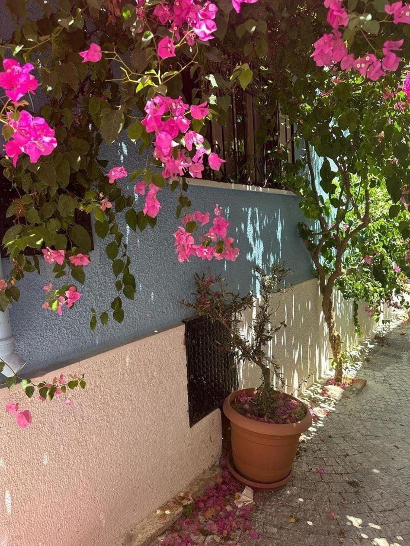 Casa Magnolia Boutique Hotel *