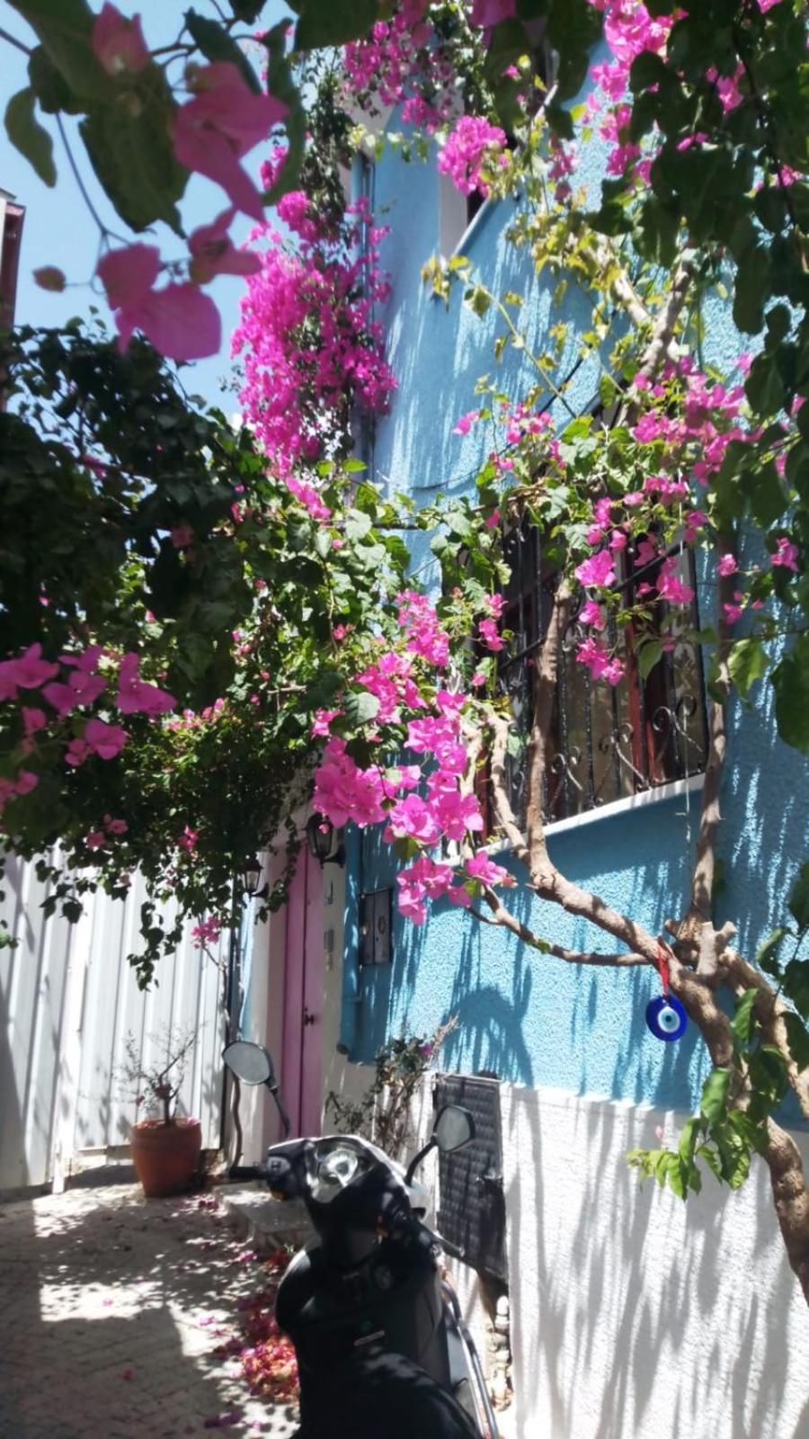 Hotel Casa Magnolia Boutique Kusadasi