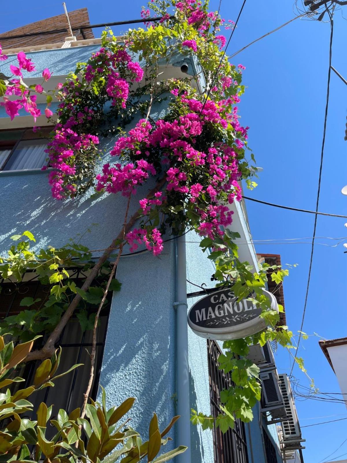 Hotel Casa Magnolia Boutique