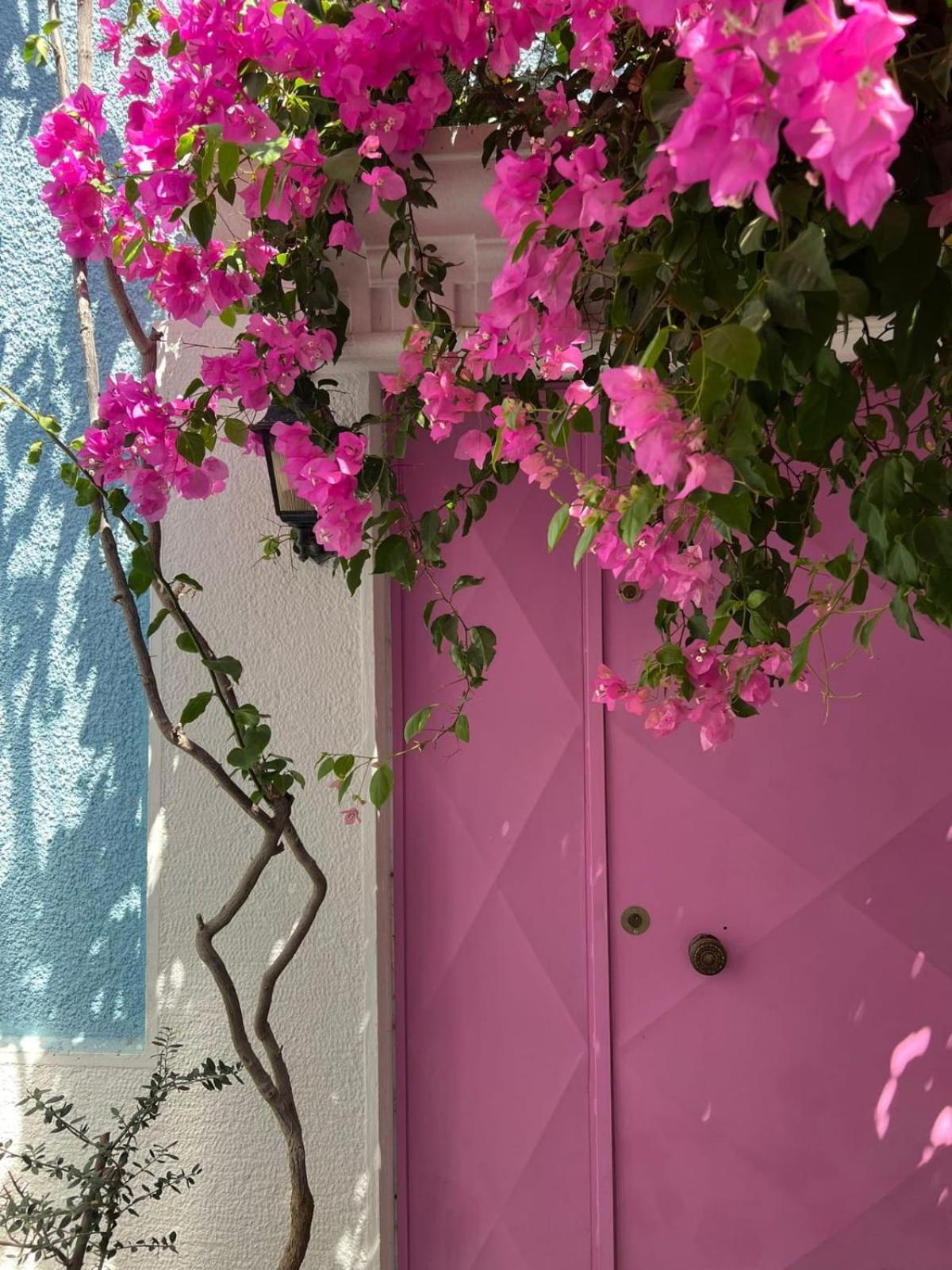 Casa Magnolia Boutique Hotel *